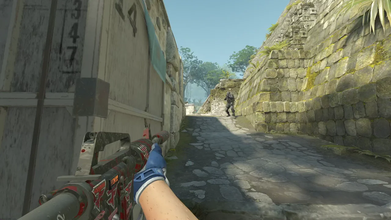 highlight